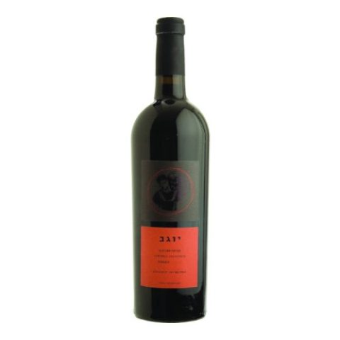 Vino Cabernet Sauvignon Binyamina Yogev 750 Ml