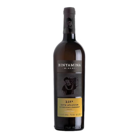Vino Sauvignon Blanc Binyamina 750 Ml