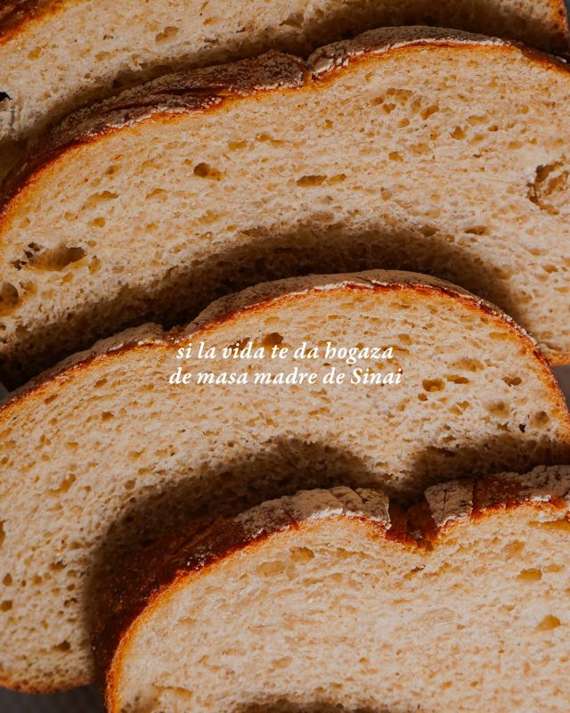 Si la vida te da buen pan, haz algo extraordinario. ✨