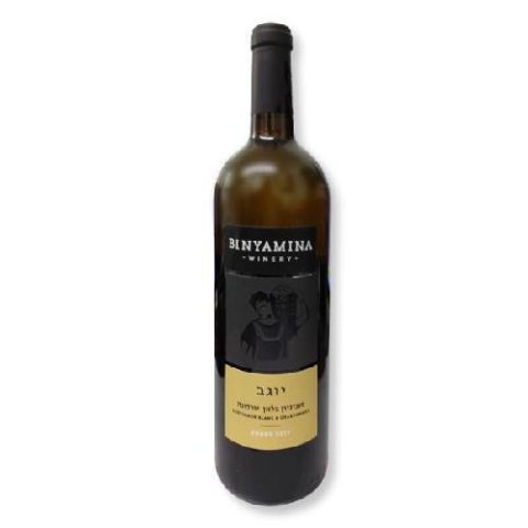 Vino Sauvignon Blanc Binyamina 2019