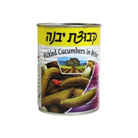 Pepinillos Mini en Salmuera 18-25 Kvuzat Yavne 560 Gr