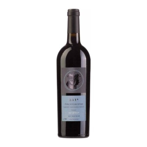Vino Merlot Binyamina 750 Ml